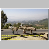 18874 01 184 Feuerholztraegerin - auf dem Entotoberg - Addis Abeba - Aethiopien 2012.JPG